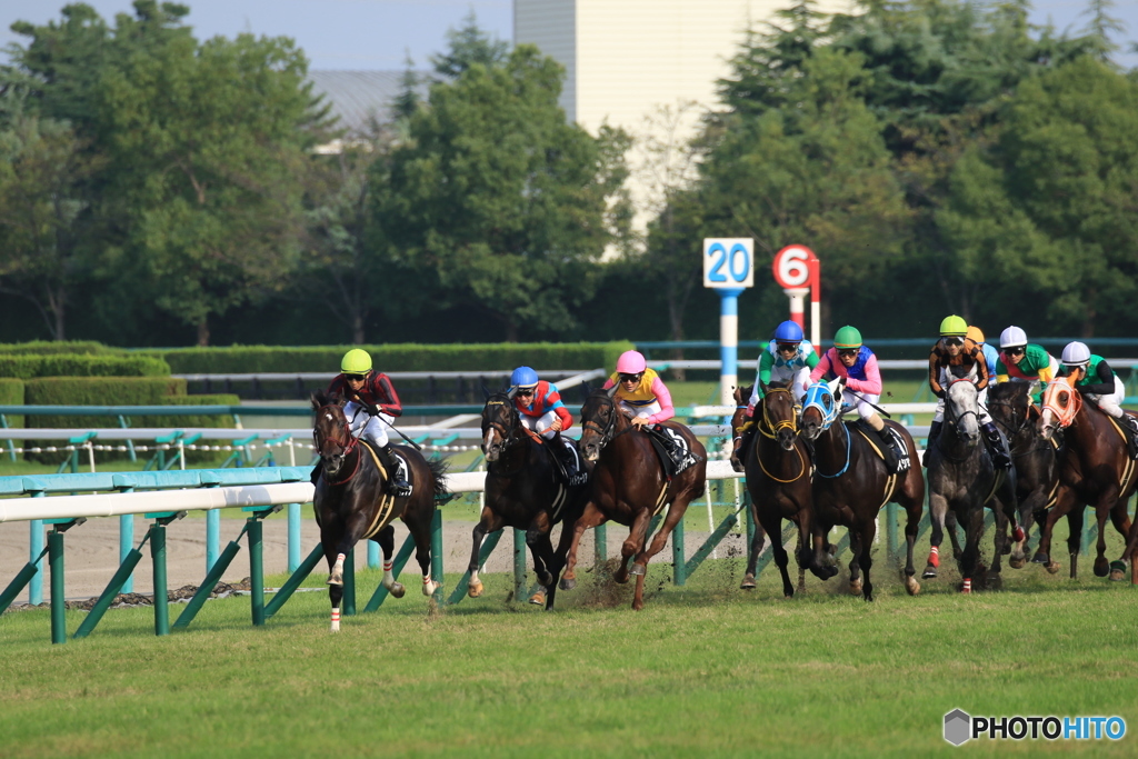 JRA阪神競馬場