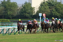 JRA阪神競馬場