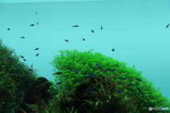 押上・浅草散歩
