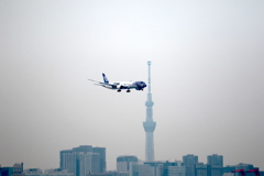 HANEDA Shot