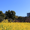 ぶらぶらさんぽ＠浜離宮恩賜庭園
