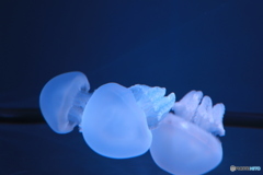 押上・浅草散歩