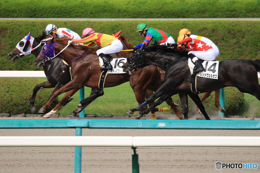 JRA阪神競馬場