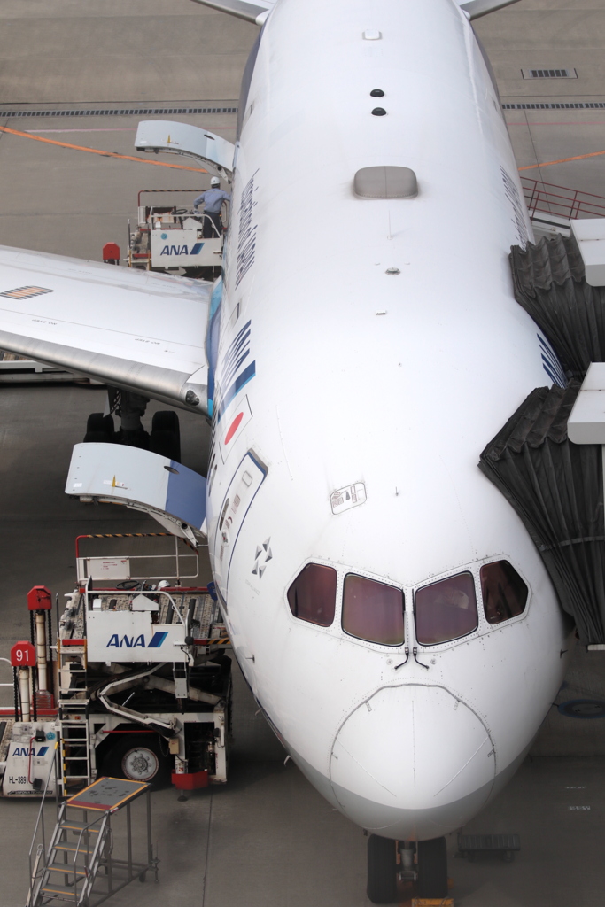 HANEDA Shot