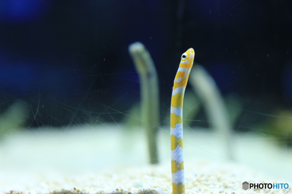 押上・浅草散歩