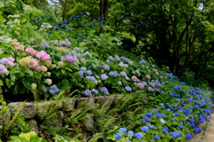 神戸市森林植物園