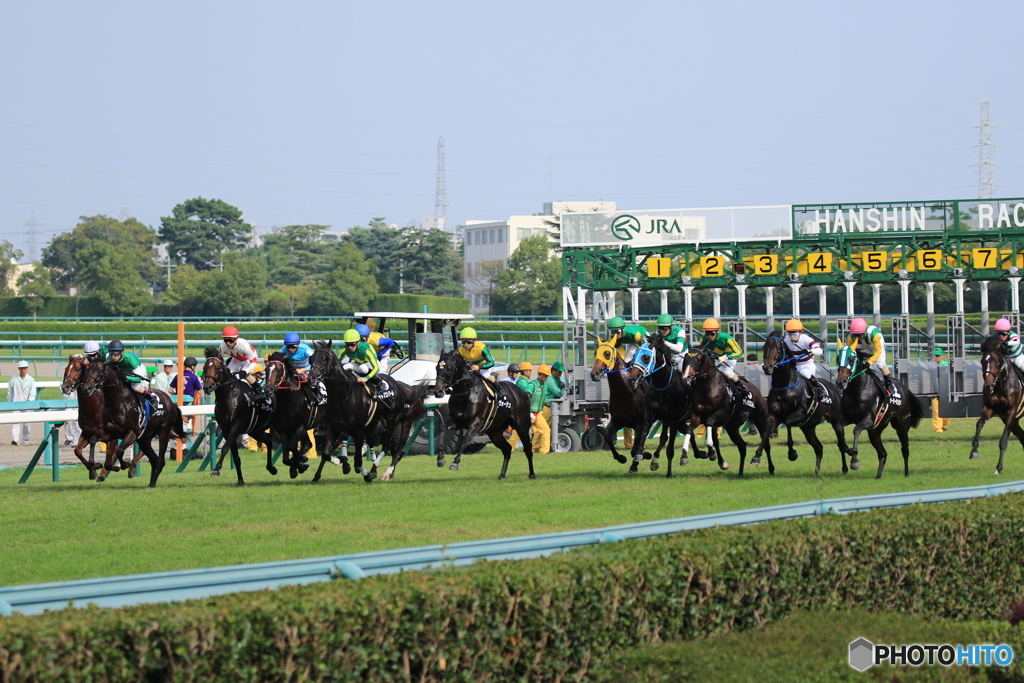 JRA阪神競馬場