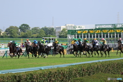 JRA阪神競馬場