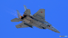 岐阜基地航空祭2016