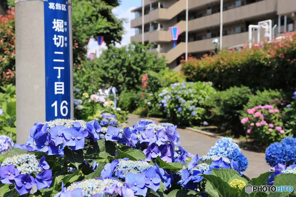 堀切さんぽ