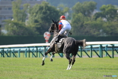 JRA阪神競馬場