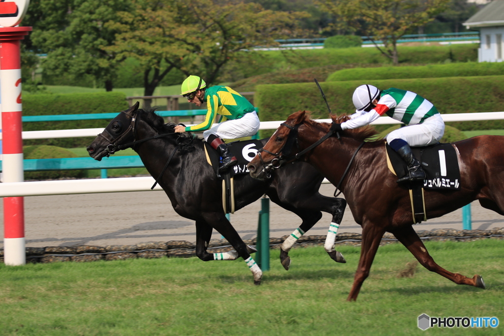 JRA阪神競馬場