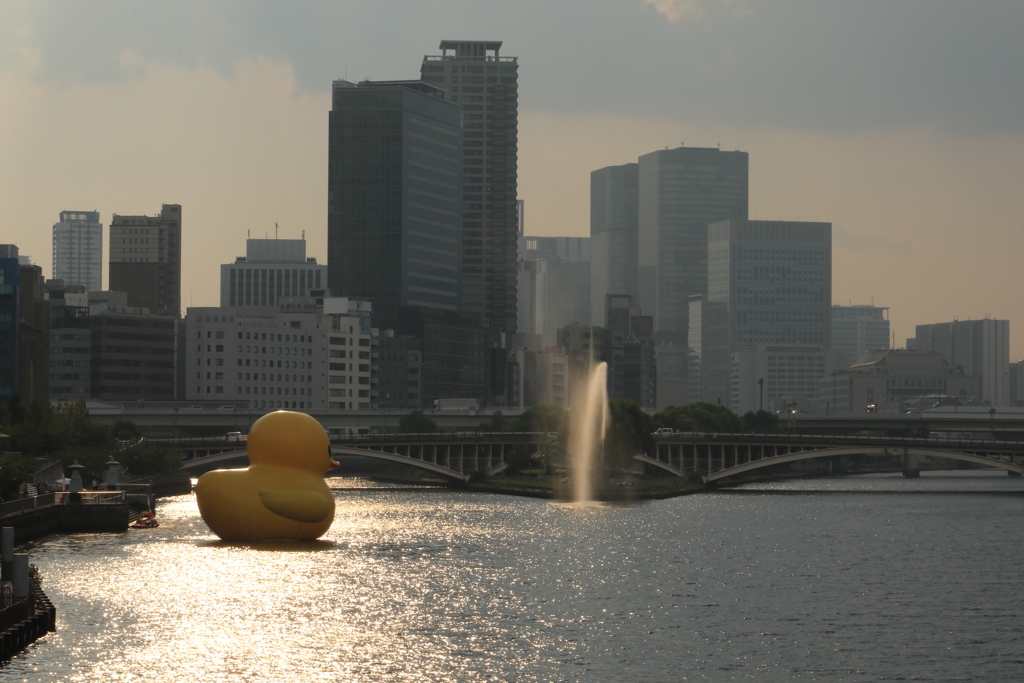 Osaka River Side