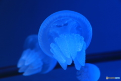 押上・浅草散歩