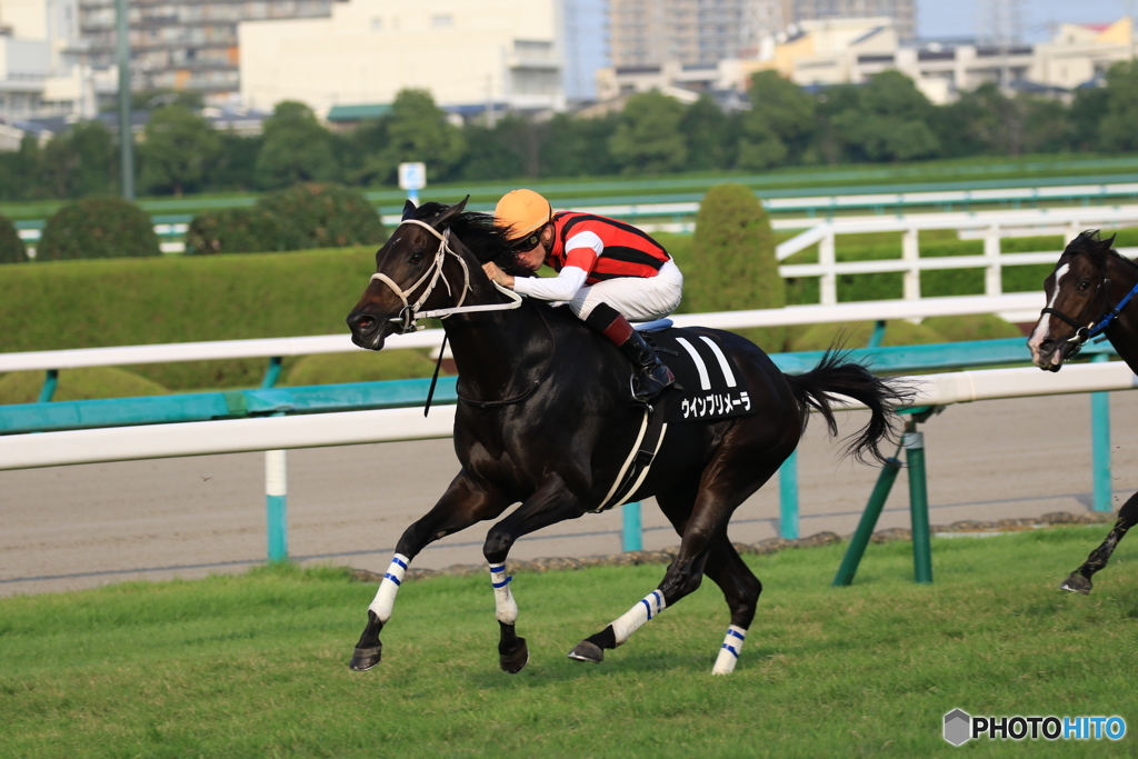 JRA阪神競馬場