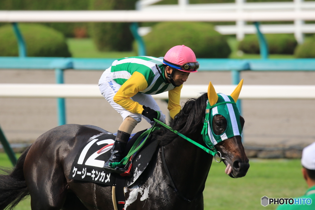 JRA阪神競馬場