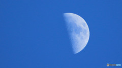 Blue sky & Half moon