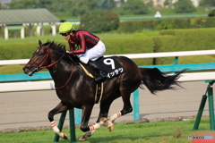 JRA阪神競馬場