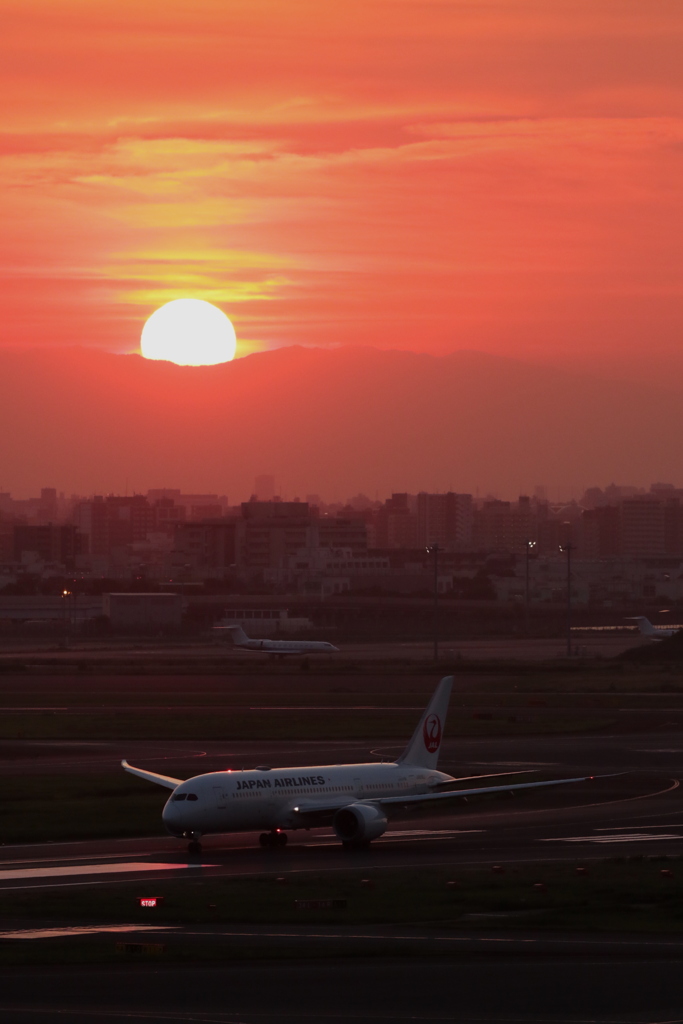 HANEDA Shot