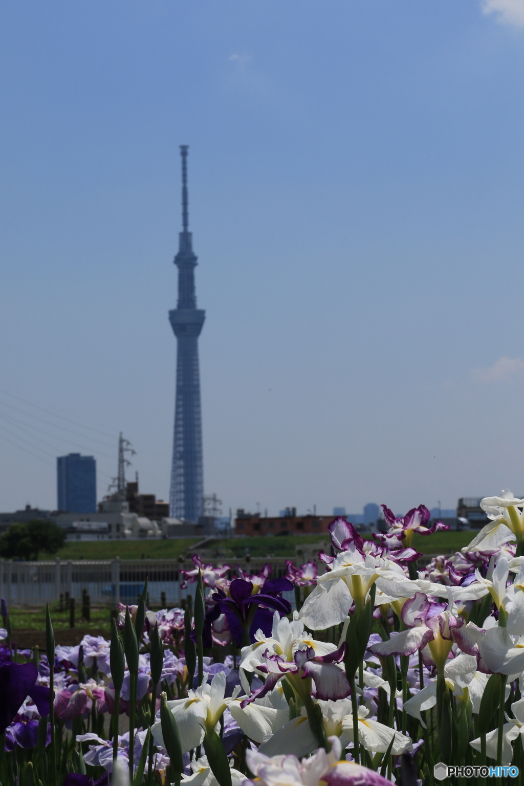 堀切さんぽ