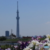 堀切さんぽ