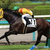 JRA阪神競馬場