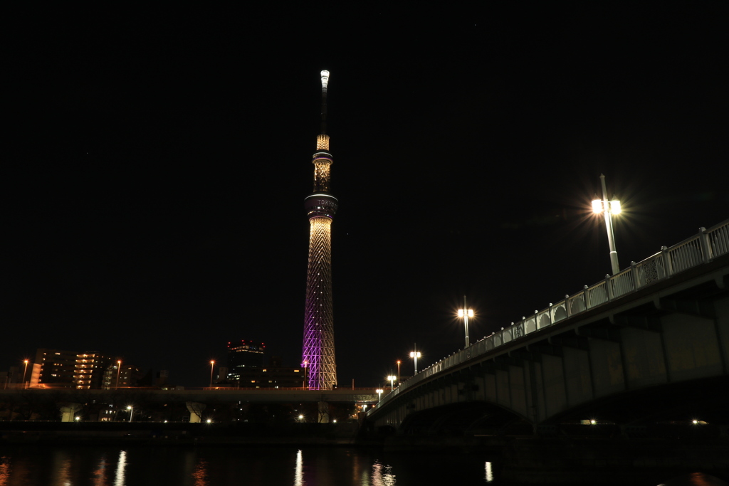 隅田川さんぽ（夜）