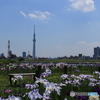 堀切さんぽ