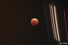 皆既月食と旅客機