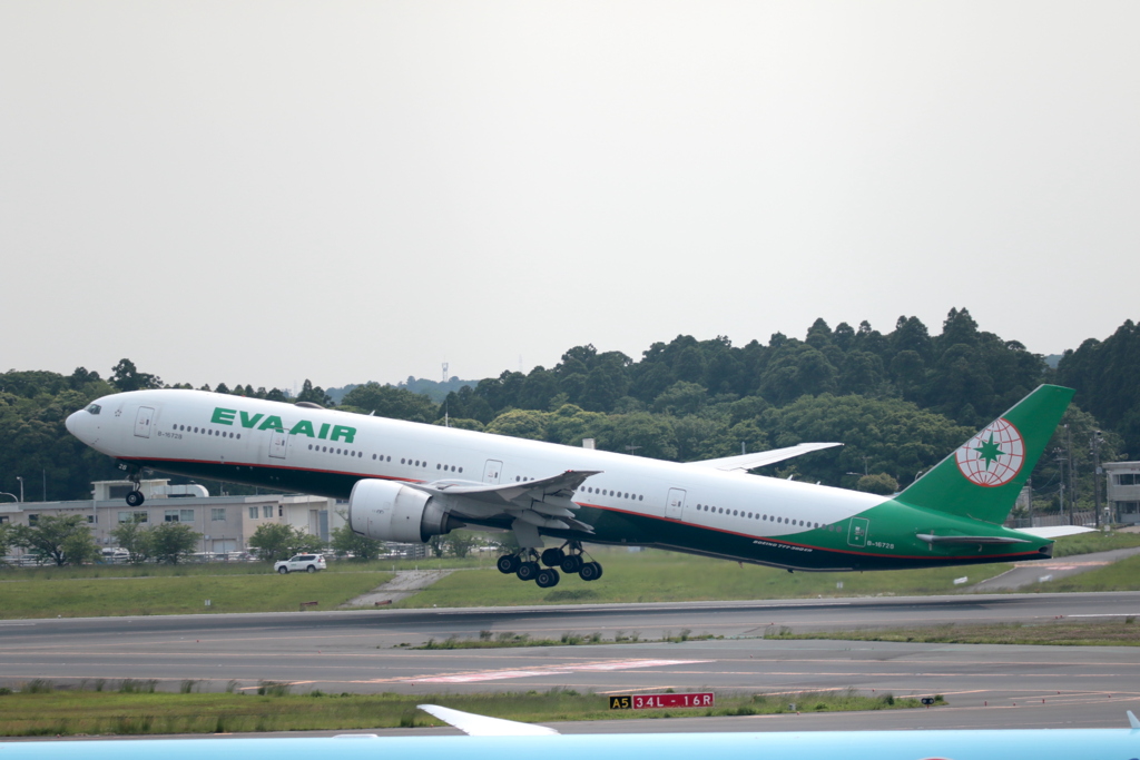NARITA Shot
