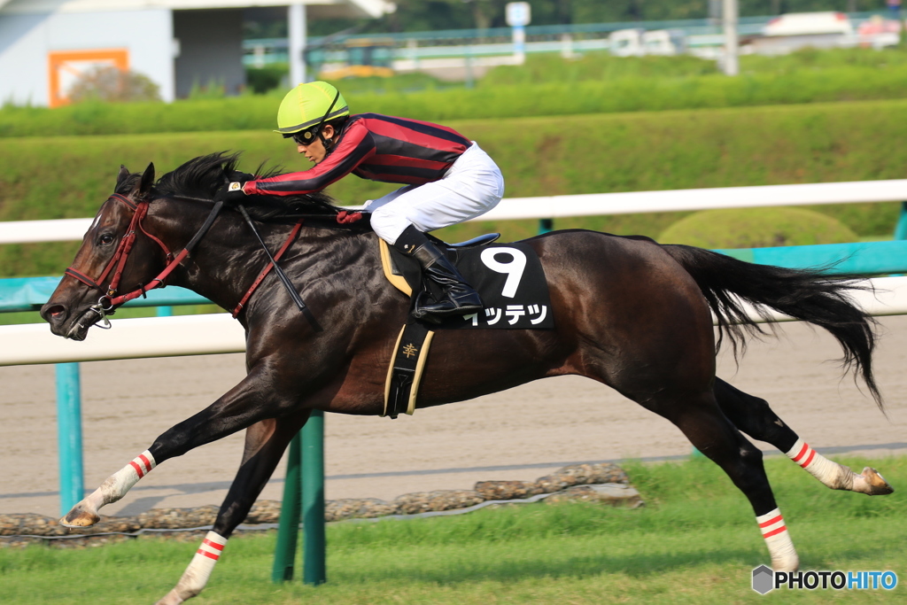 JRA阪神競馬場