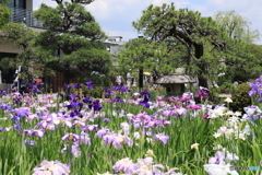 堀切さんぽ