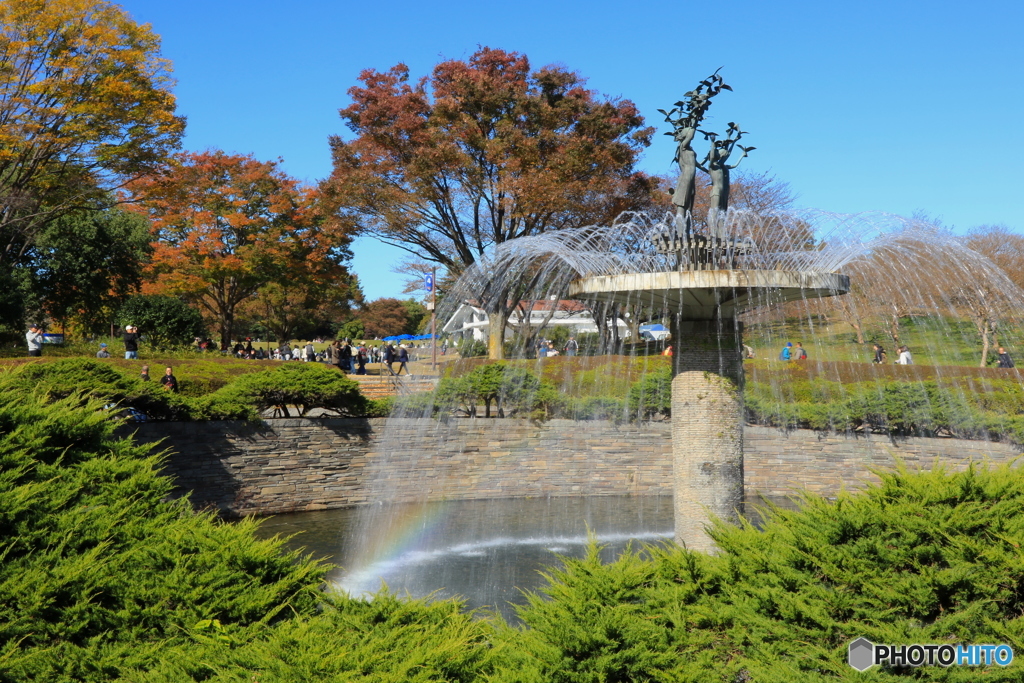 紅葉＠国営昭和記念公園