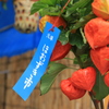 浅草さんぽ