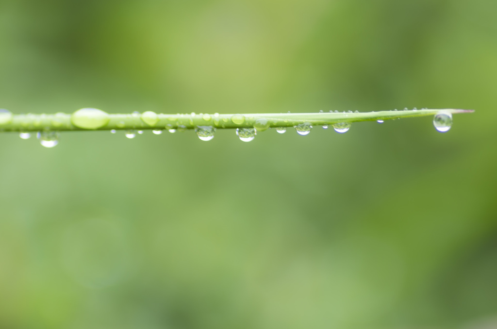 雨あがり