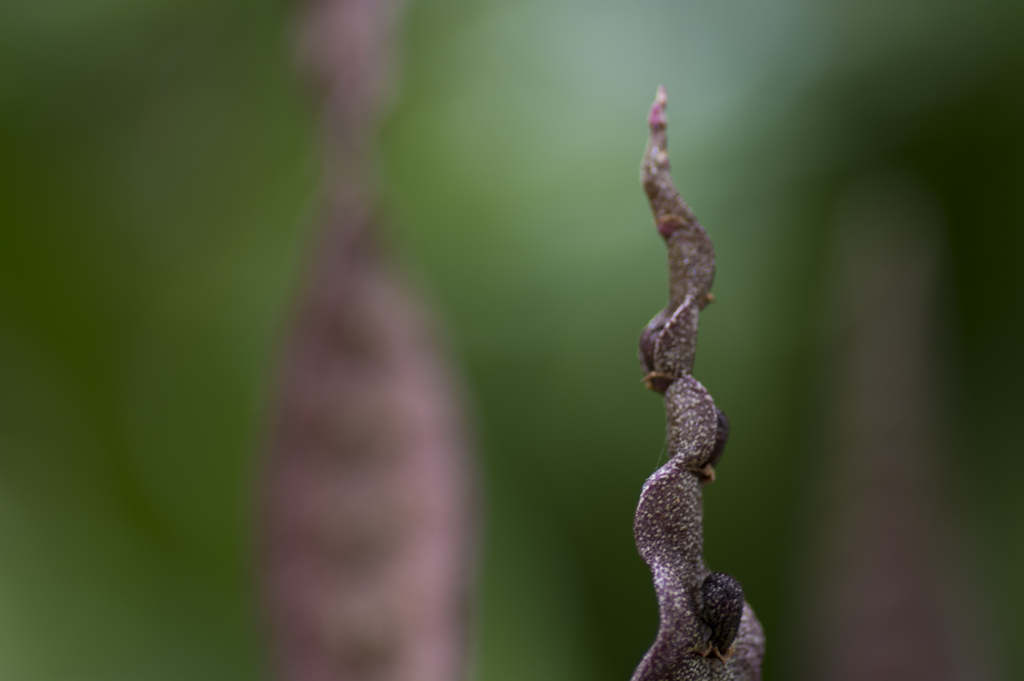 _IMG4287