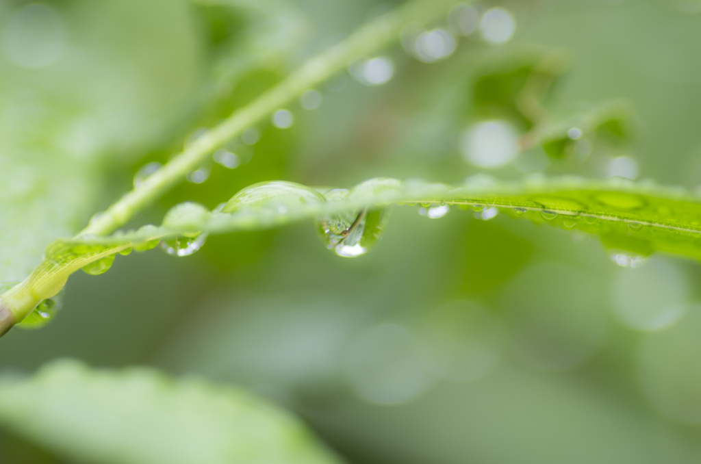 雨あがり