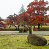 紅葉狩り