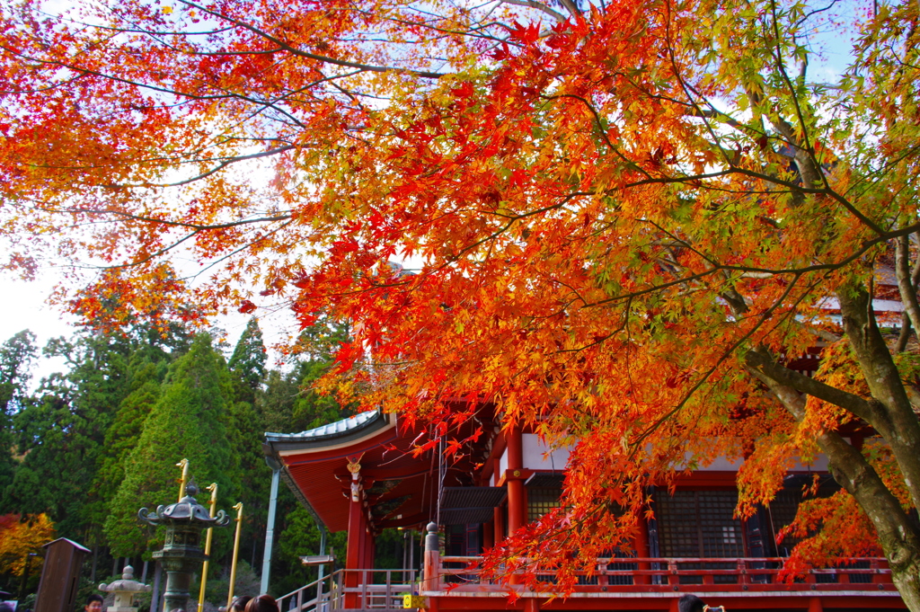 延暦寺