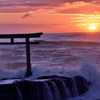 神磯の鳥居 夜明け