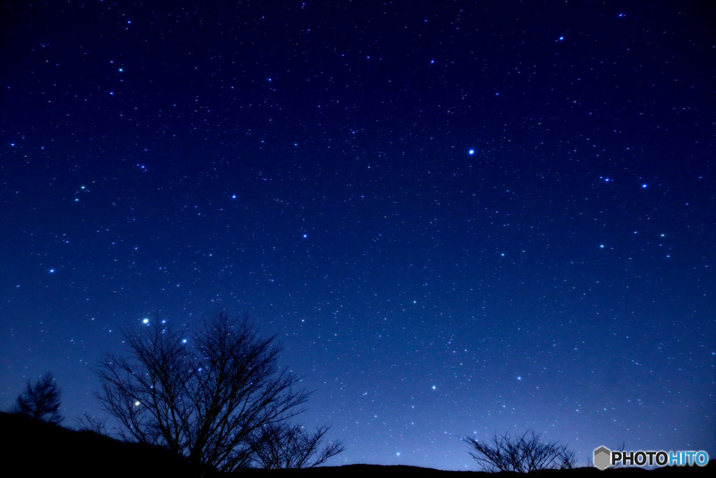 星の輝く夜