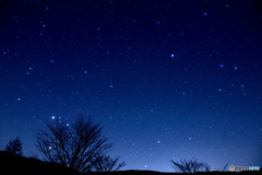 星の輝く夜