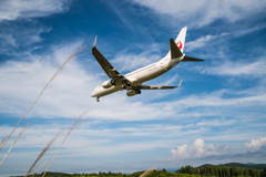 JAL LANDING