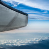 Wing