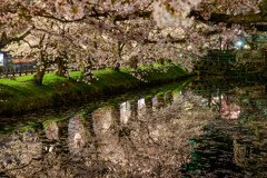 弘前城　夜桜（2）