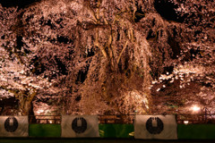 弘前城　夜桜（3）