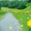 Road