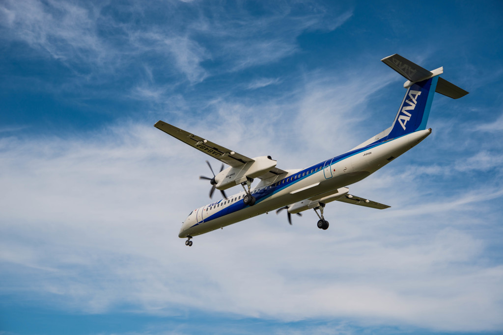 ANA DHC8