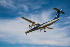 ANA DHC8