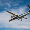 ANA DHC8